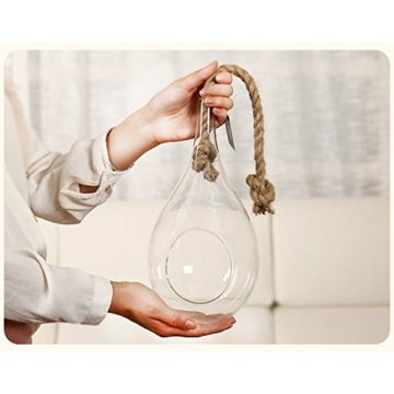 11" Hängendes Tränenseil großes Terrarium ideal für Luftpflanzen saftig und Kaktus InnendekorationLarge - 1