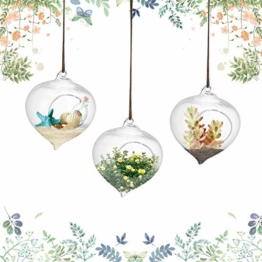 3pcs Hängepflanzen im Glas Hängen Ampel Glasvase Borosilikatglas Terrarium Pflanzen Blumenvase Blumentopf Sukkulente Container 9,3 * 12 cm / 3,7 * 4,7inch - 1