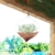 3pcs Hängepflanzen im Glas Hängen Ampel Glasvase Borosilikatglas Terrarium Pflanzen Blumenvase Blumentopf Sukkulente Container 9,3 * 12 cm / 3,7 * 4,7inch - 9