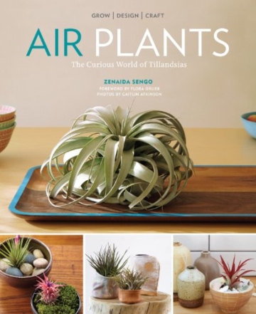 Air Plants: The Curious World of Tillandsias - 1