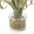 artplants.de Set 3 x Künstliche Tillandsia Cites RAJA im Glas, grau - grün, 16cm - Kunstpflanze - 3