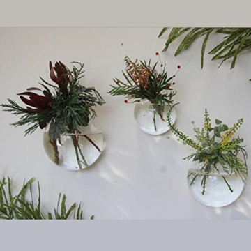 EssenceLiving Set von 3 Wandblasen Terrarien Indoor Pflanzen Pflanzer Vase Wand montiert Mini Aquarium Wanddekor - 3