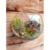 EssenceLiving Set von 3 Wandblasen Terrarien Indoor Pflanzen Pflanzer Vase Wand montiert Mini Aquarium Wanddekor - 9