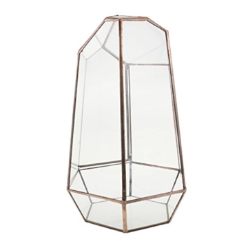 Irreguläre Mini Glas Terrarium Geometrisches Glas Sukkulente Pflanzen Pflanzgefäß Deko - 16 x 16 x 25cm - 2