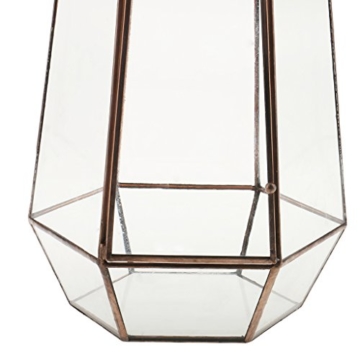 Irreguläre Mini Glas Terrarium Geometrisches Glas Sukkulente Pflanzen Pflanzgefäß Deko - 16 x 16 x 25cm - 3