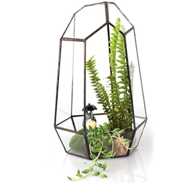 Irreguläre Mini Glas Terrarium Geometrisches Glas Sukkulente Pflanzen Pflanzgefäß Deko - 16 x 16 x 25cm - 9