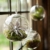 Mkouo 2 Stück zum Aufhängen Terrarium Glas Vase Flower Air Pflanzgefäß Container Home Office Hochzeit Dekoration Herz Form – Orb und Tropfenform - 2