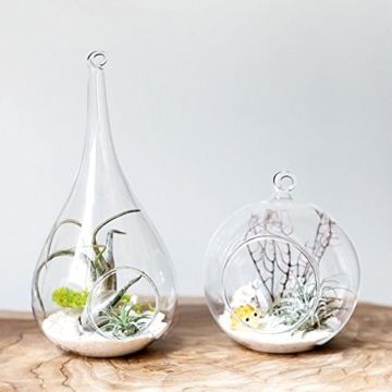 Mkouo 2 Stück zum Aufhängen Terrarium Glas Vase Flower Air Pflanzgefäß Container Home Office Hochzeit Dekoration Herz Form – Orb und Tropfenform - 4