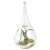 Mkouo 2 Stück zum Aufhängen Terrarium Glas Vase Flower Air Pflanzgefäß Container Home Office Hochzeit Dekoration Herz Form – Orb und Tropfenform - 5