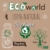 Ecoworld Tillandsien, Luftpflanzen - 5 Stück - 5 Verschiedene Pflanzen + Dekoratives Holz - 4