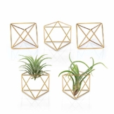 Mkouo 5 Packs Luftpflanzenhalter Modern Geometric Pflanzen Tillandsia Container Metall Luftfarne Display Stand Mini Tablatop Himmeli Decor with Each Side 2.6" Long for Home, Office and Wedding, Gold - 1