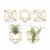 Mkouo 5 Packs Luftpflanzenhalter Modern Geometric Pflanzen Tillandsia Container Metall Luftfarne Display Stand Mini Tablatop Himmeli Decor with Each Side 2.6" Long for Home, Office and Wedding, Gold - 1